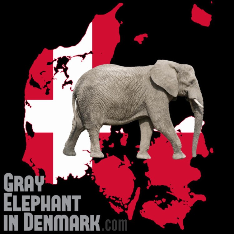 gray-elephant-in-denmark